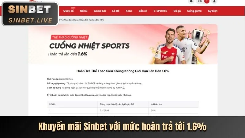Tổng quan về nền tảng cá cược thể thao Kubet